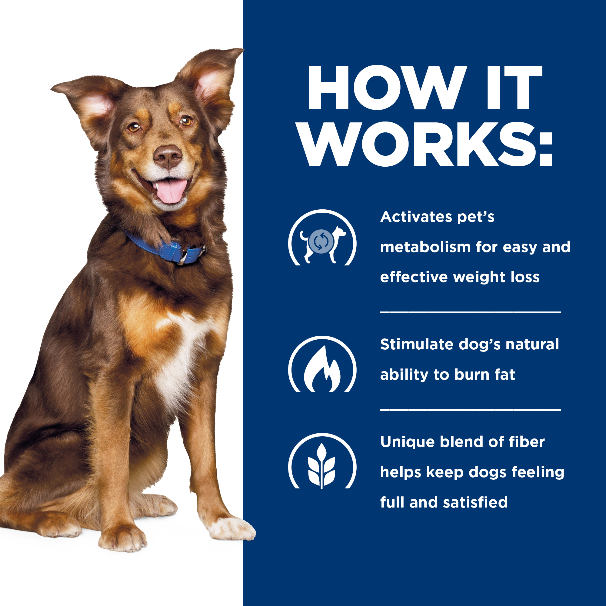 Hill's® Prescription Diet® Metabolic Canine Weight Management
