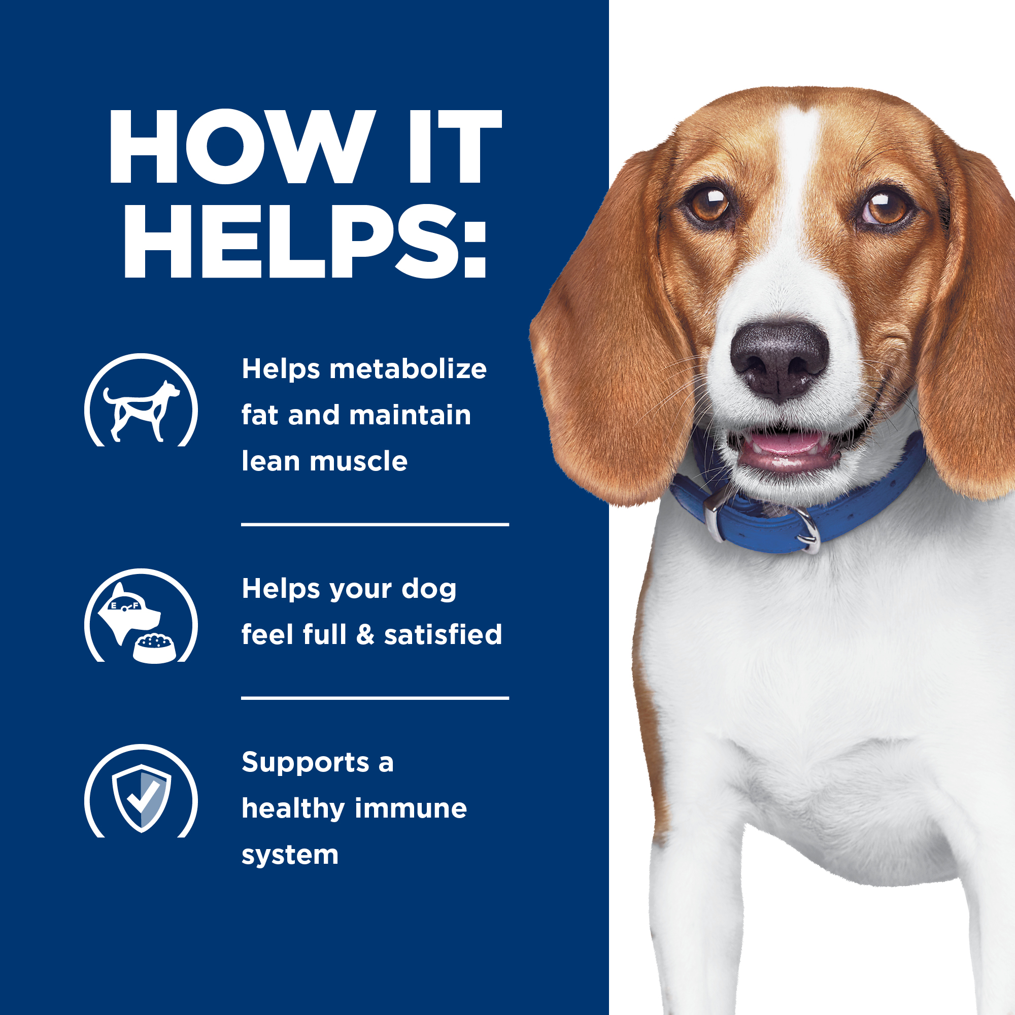 Hill's® Prescription Diet® r/d® Canine Weight Reduction