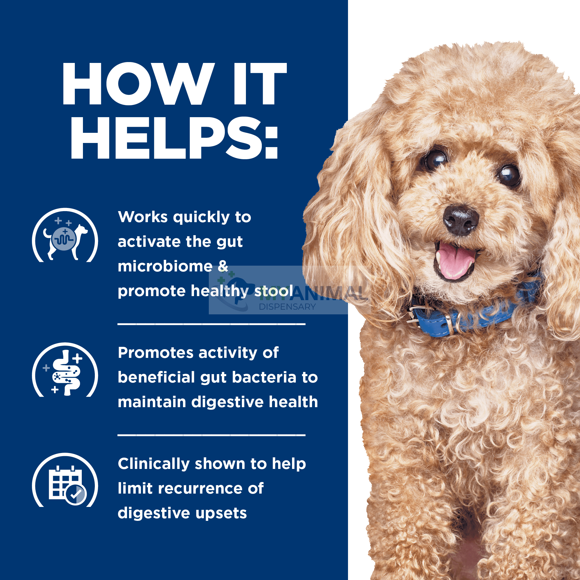 Hill s Prescription Diet Gastrointestinal Biome Canine Small