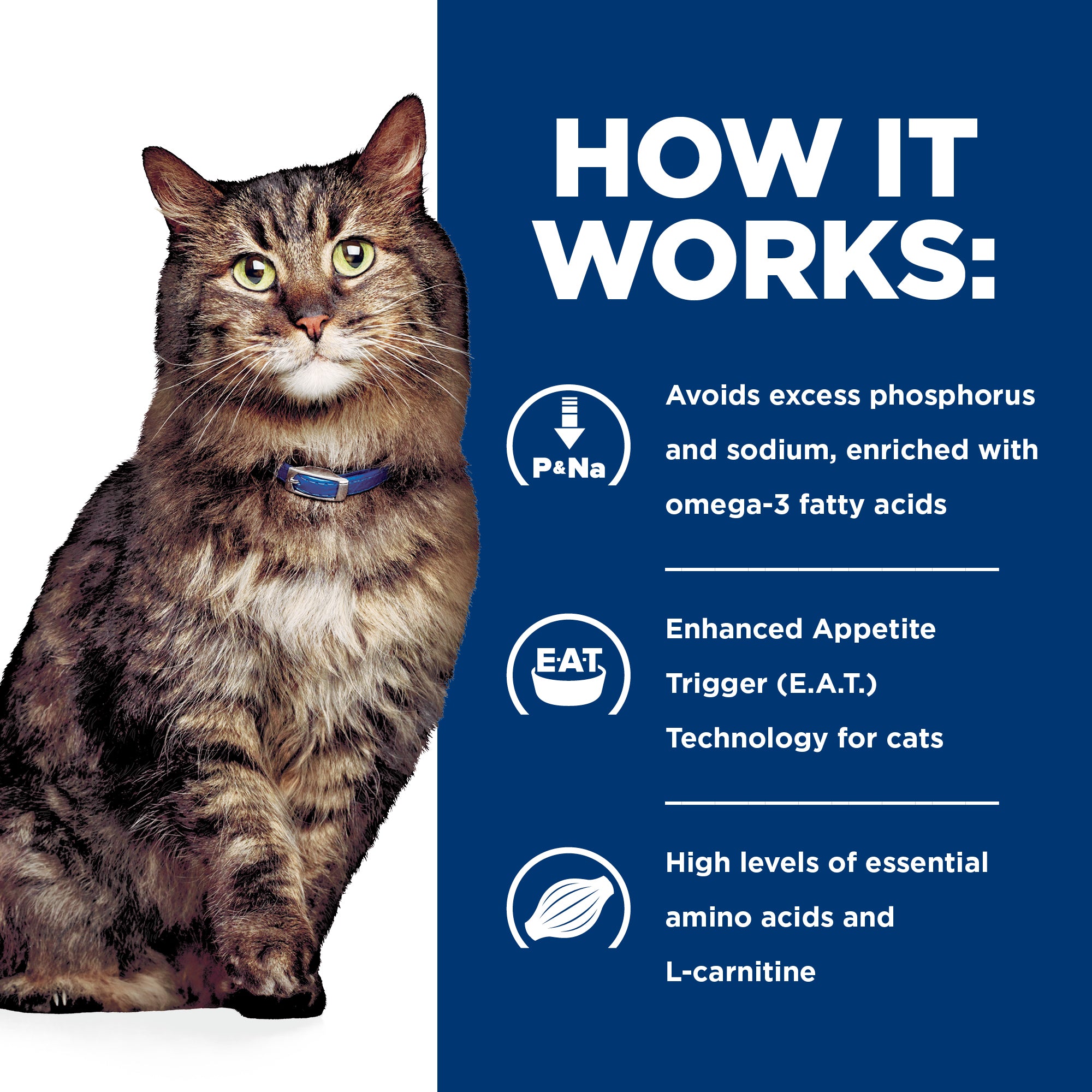 Hill's® Prescription Diet® k/d® Kidney Care Early Support Feline Chicken Dry Cat Food