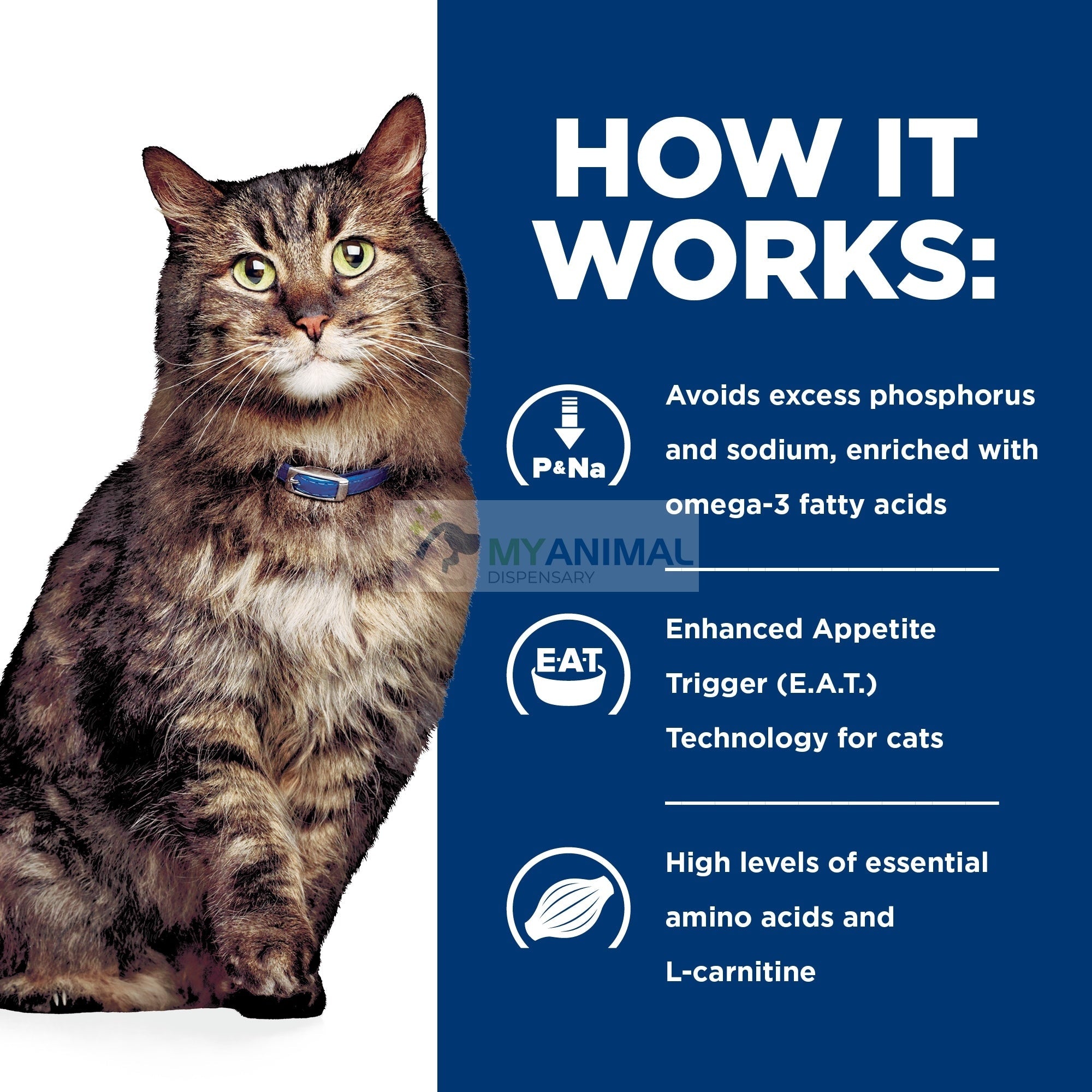 Hill's Prescription Diet k/d Kidney Care Early Support Feline Chick My Animal Dispensary Hill's Prescription Diet k/d Kidney Care Early Support Feline Chick My Animal Dispensary