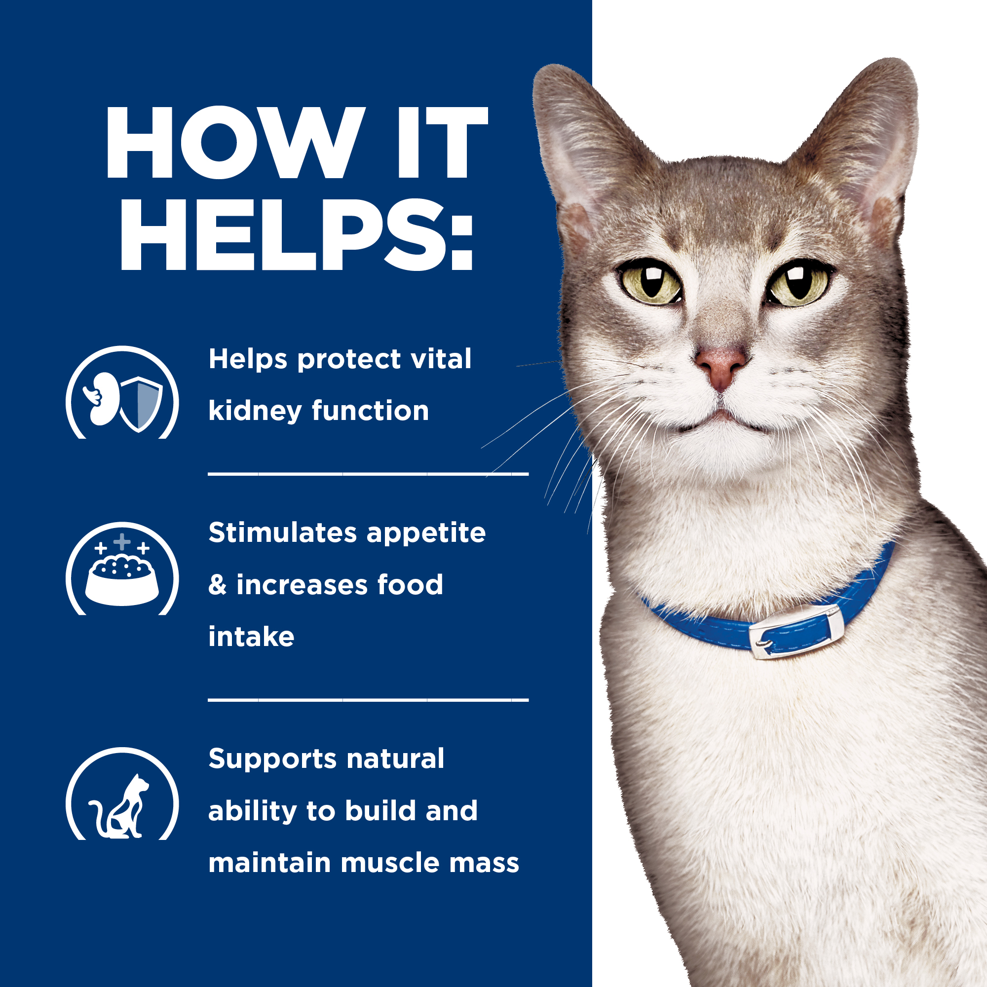 Hill's™ Prescription Diet™ k/d™ Kidney Care Feline with Chicken Canned