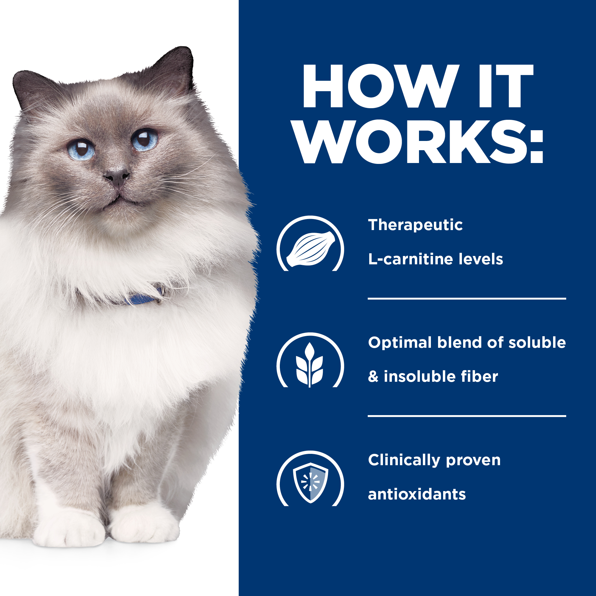 Hill's® Prescription Diet® r/d® Weight Reduction Feline Dry Cat Food