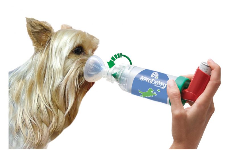 AeroDawg for Dogs - Canine Aerosol Chamber