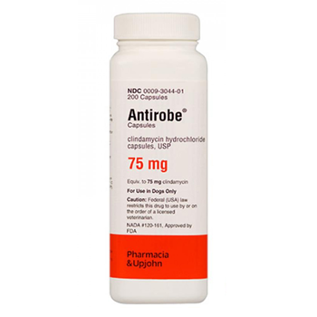 Antirobe Antibacterial Antibiotic Capsules for Dogs (75mg)