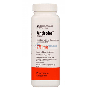 Antirobe Label Antirobe Antibacterial Antibiotic Capsules for Dogs (75mg) — My Animal ...