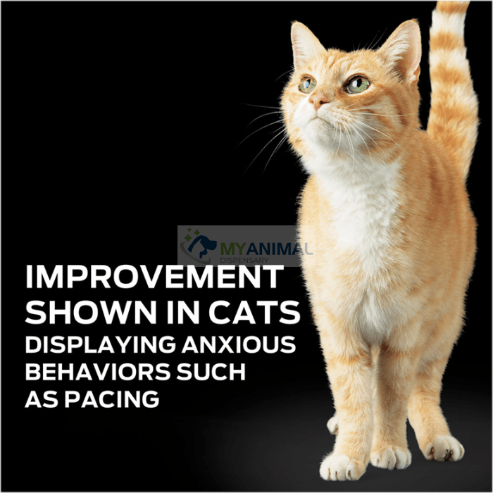 PURINA® PRO PLAN VETERINARY SUPPLEMENTS® Calming Care Feline Calming P ...
