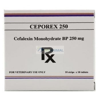 Cephalexin order
