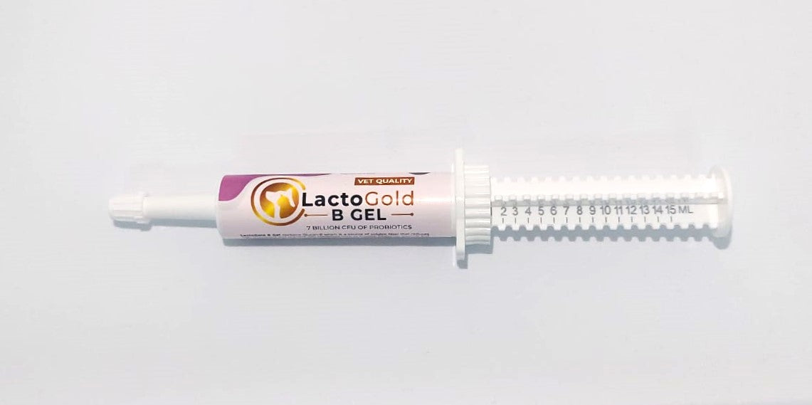 LactoGold Glucan-B Beta-Glucan Skin and Immunity Veterinary Formula Gel 15mL