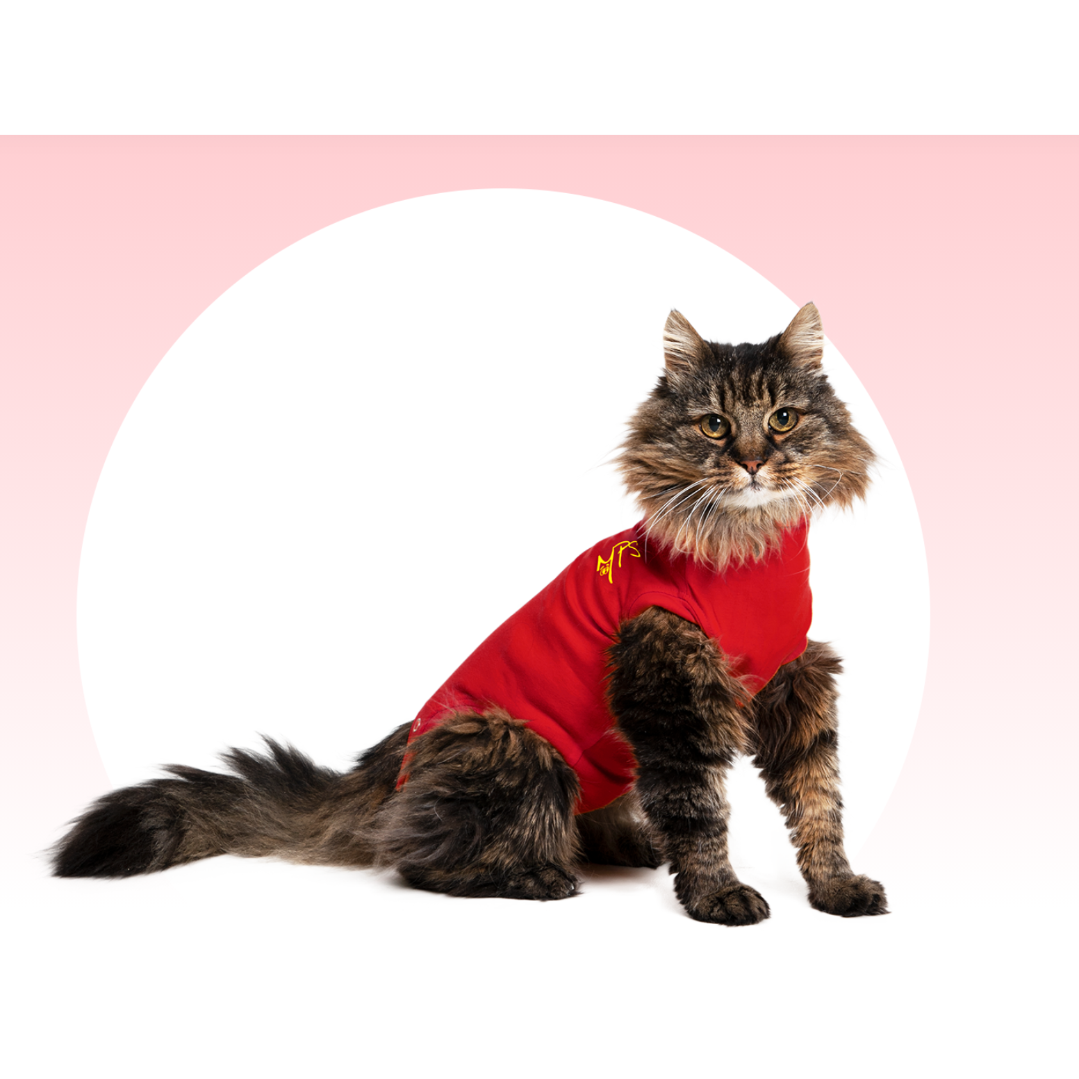 MPS Medical Shirts for Cats