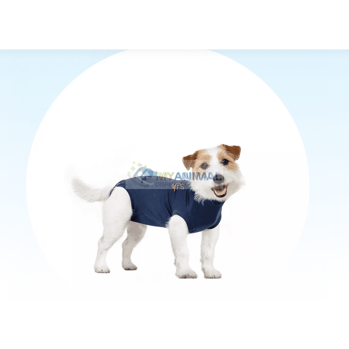 MPS Medical Pet Shirt for Dogs My Animal Dispensary