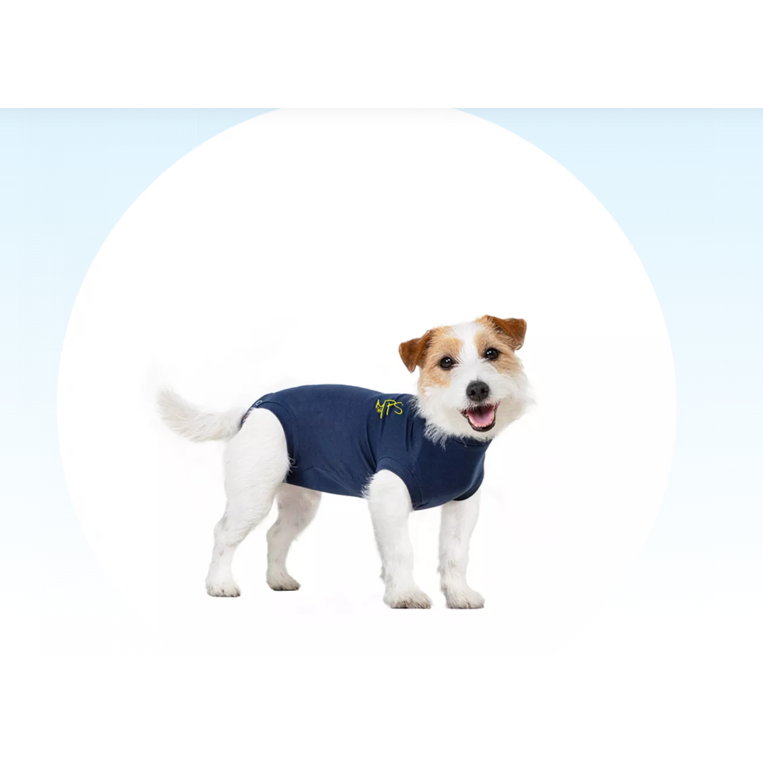 Medical Pet Shirts - Covering and protective products for pets.