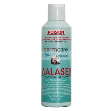 Malaseb Medicated Shampoo for Dogs Cats Pets My Animal Dispensary