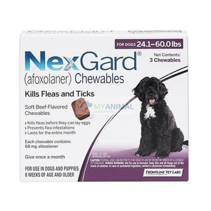 Nexgard Chewable Flavor Fleas Ticks Prevention for Large Dog 10 25Kg My Animal Dispensary