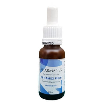 Pet-Amox Palatable Oral Liquid Antibiotic Drops 62.5mg/mL (20mL)