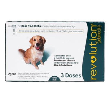 Revolution Fleas Ticks Prevention for Dogs (40.1 to 85lbs)(Teal)