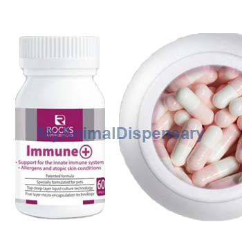 Rocks Nutraceuticals Immune + Probiotic Supplement 60s