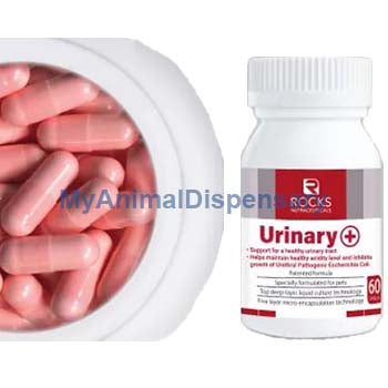 Rocks Nutraceuticals Urinary + Probiotic Supplement 60s