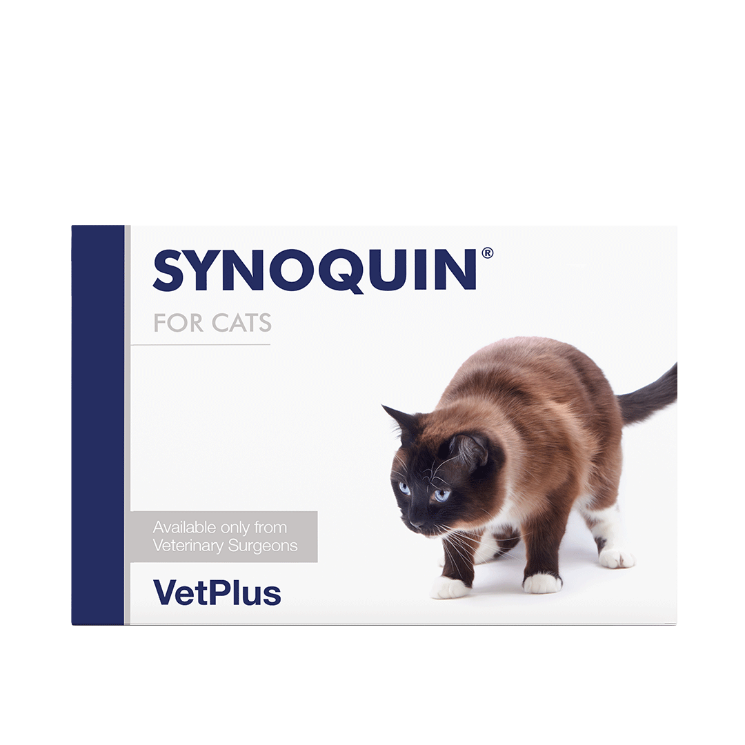 VetPlus SYNOQUIN ® Joint Supplement 30 Tablets for Cats