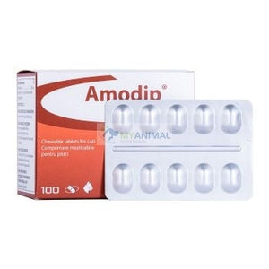 Ceva Amodip High Blood Pressure Tablet for Cats (1.25mg) — My Animal ...