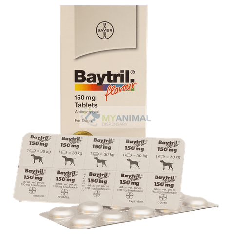 Baytril Beef Flavor Tablets for Dogs (Enrofloxacin 150mg)