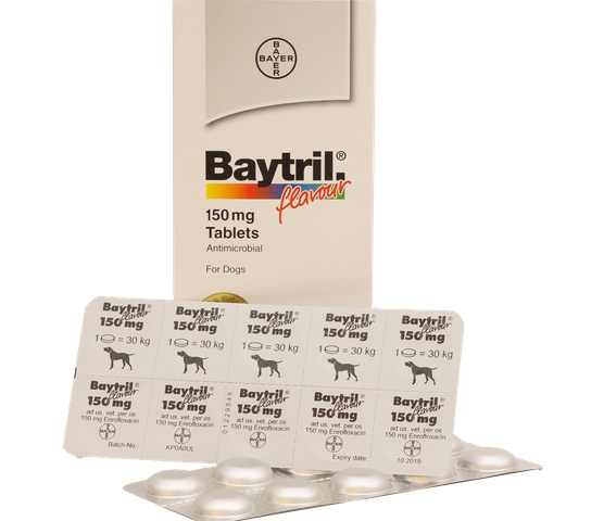 Baytril Beef Flavor Tablets for Dogs (Enrofloxacin 150mg)