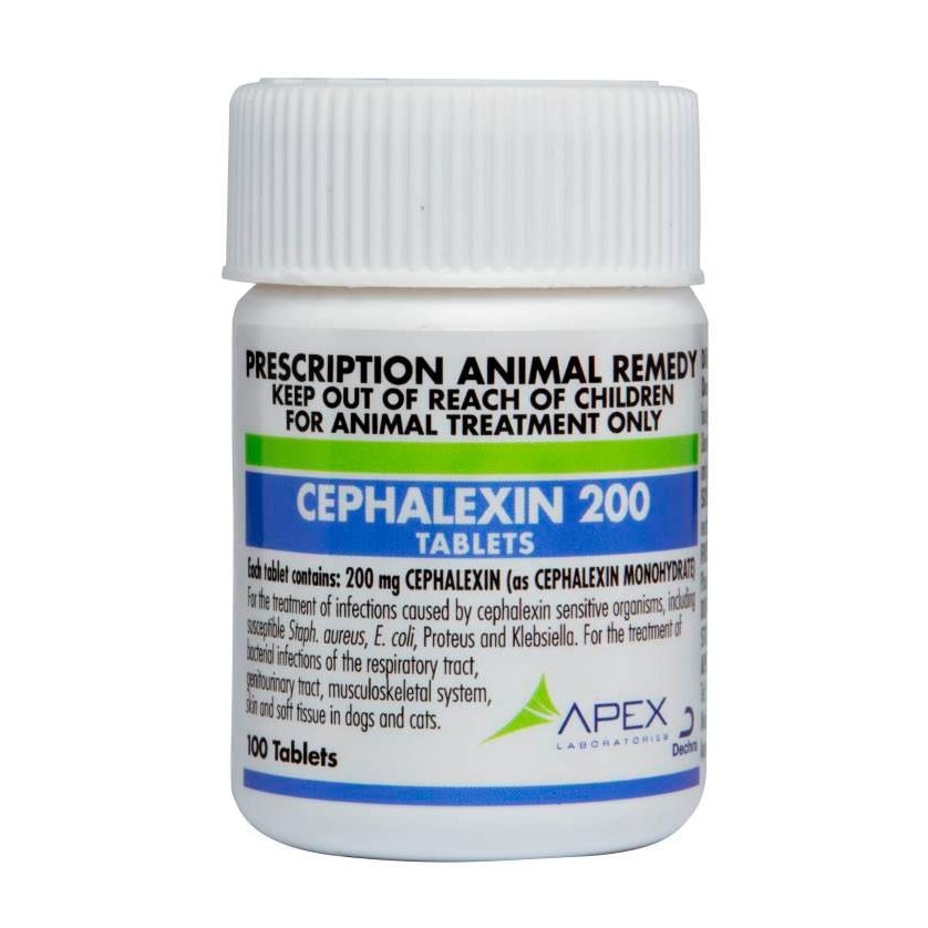 Dechra Cephalexin Antibiotics Tablets for Dogs Cats (200mg) (Non Flavored)