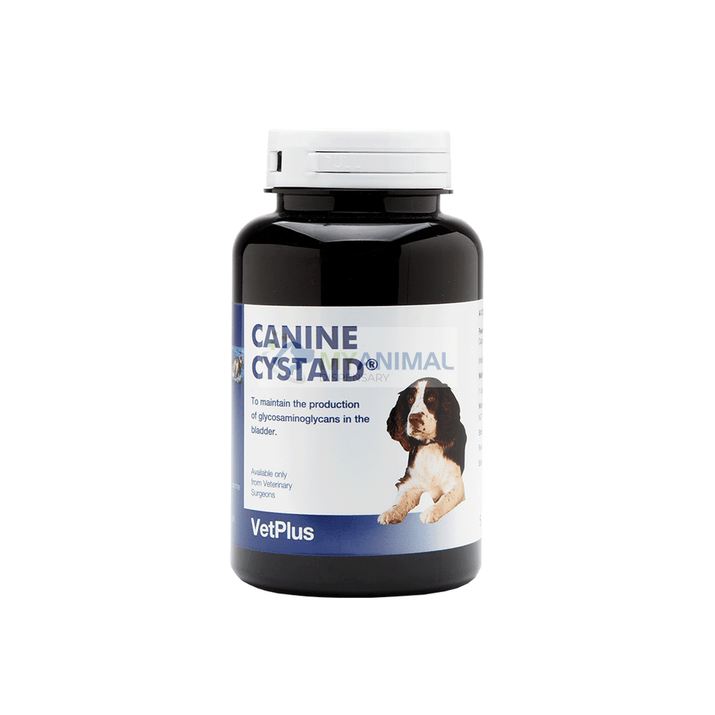 Cystaid plus 2024 capsules for cats