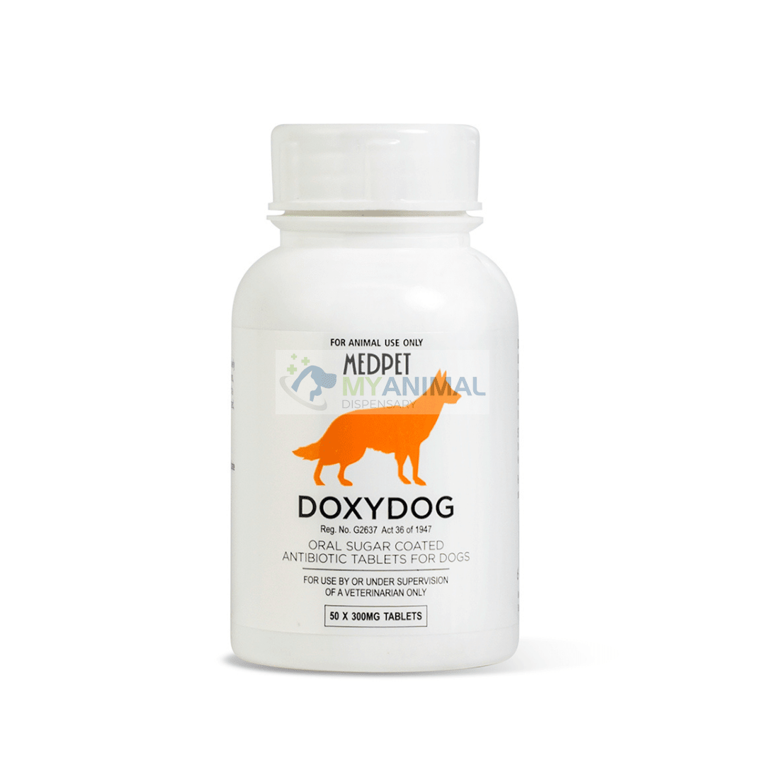 Doxycycline Heartworm 3d mon