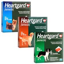 Heartgard Plus Chewables Heartworm Roundworm Hookworm Prevention for Dogs (up to 25lbs)