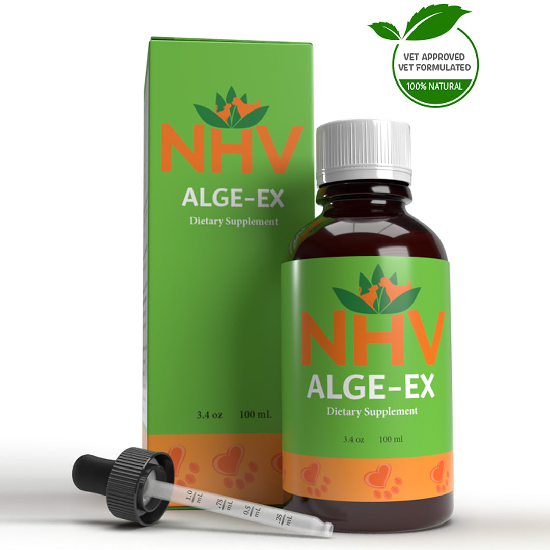 NHV ALGE-EX Dietary Supplement 100ml