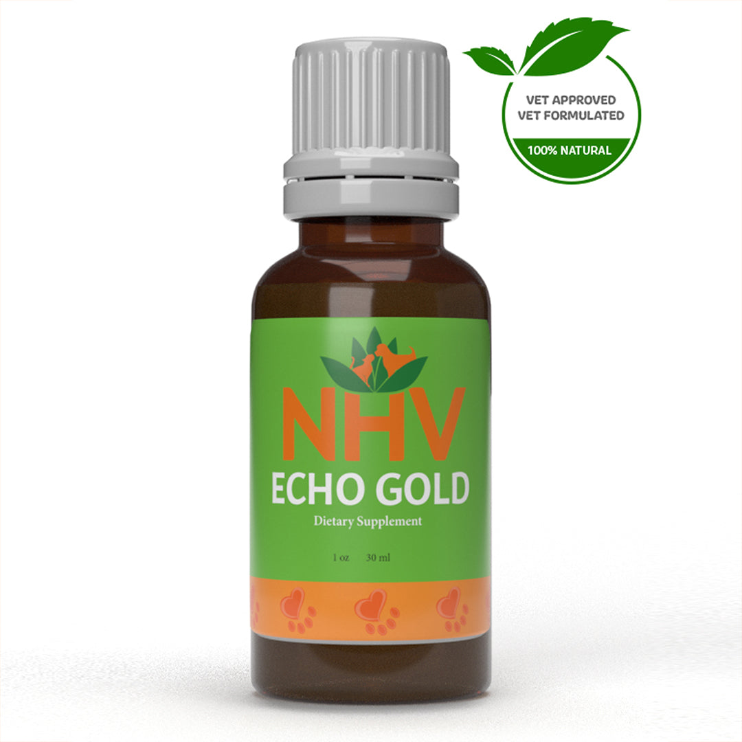 NHV ECHO GOLD Topical Ointment 30ml
